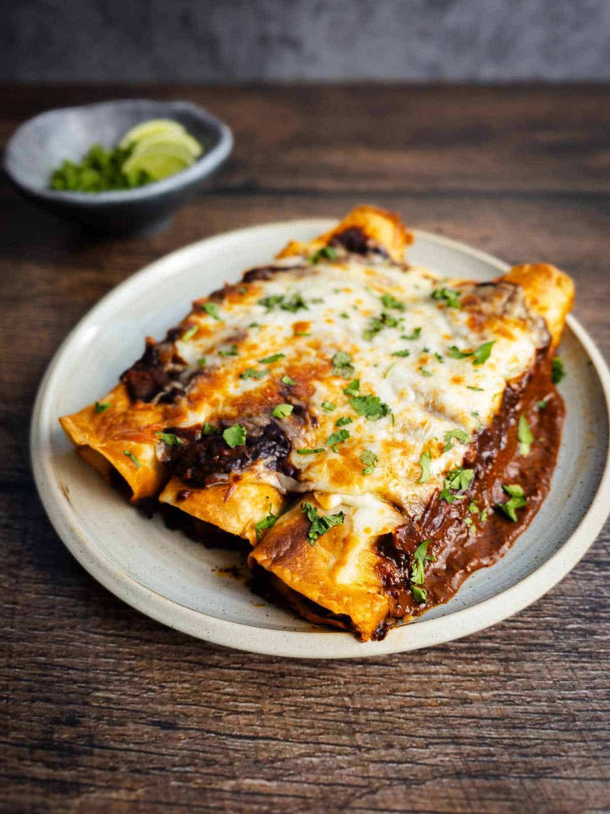 A plate of chicken enchiladas made with homemade tortillas, a robust chile sauce, and melty cheese.